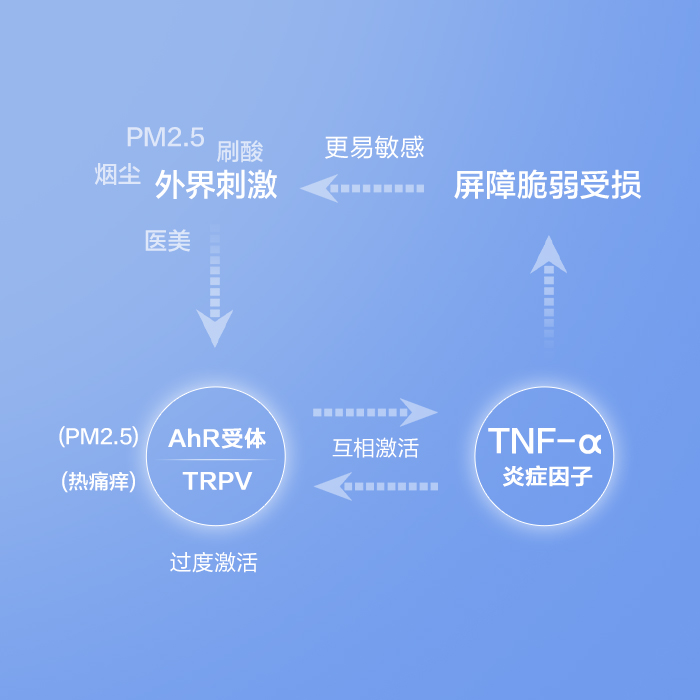 皮肤反复敏感的根本原因
来自神经免疫的互相激活