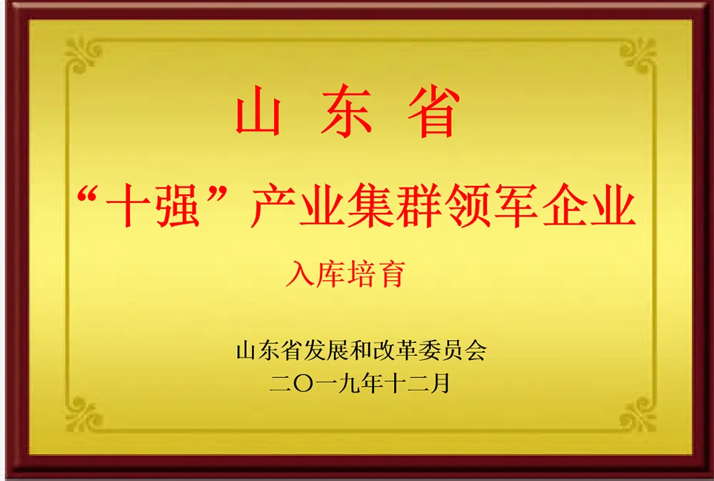 山东省&ldquo;十强&rdquo;产业集群领军企业